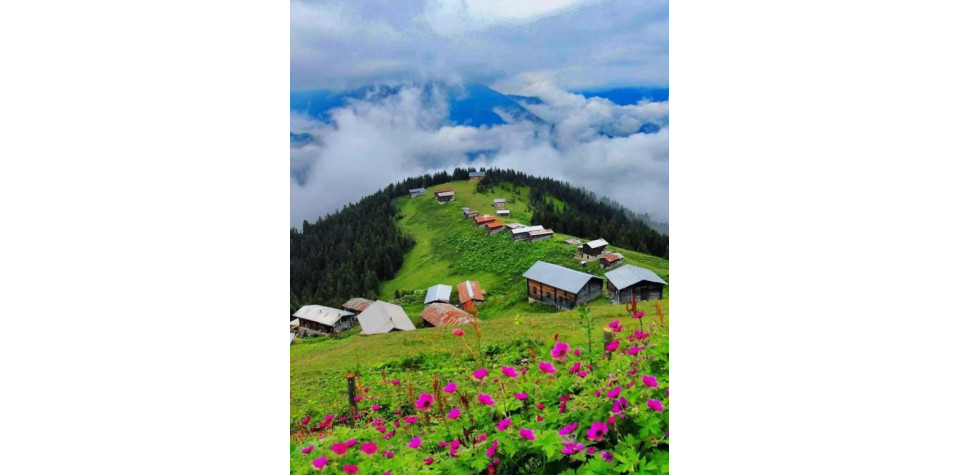  DOĞU KARADENİZ TURU