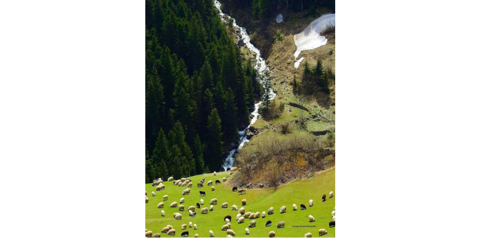  DOĞU KARADENİZ TURU