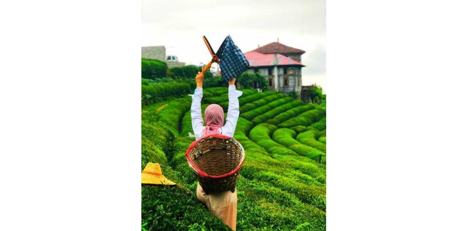  DOĞU KARADENİZ TURU