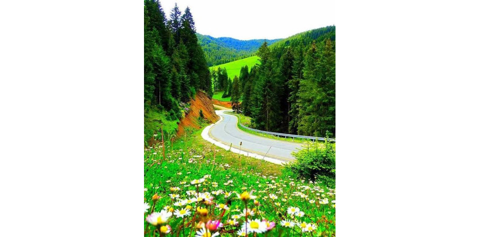  DOĞU KARADENİZ TURU